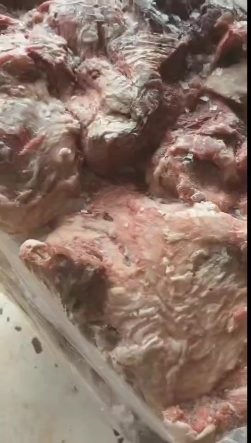 母猪二号肉今年新货