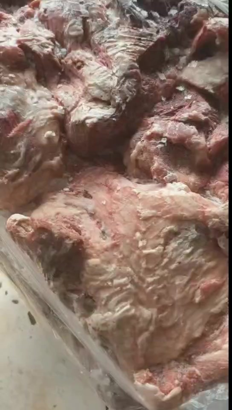 母猪二号肉今年新货