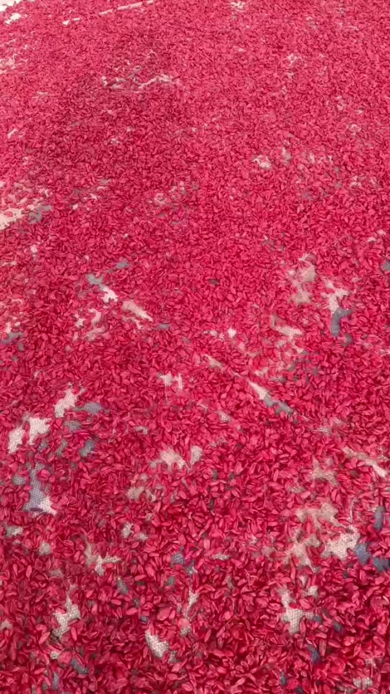 山茱萸