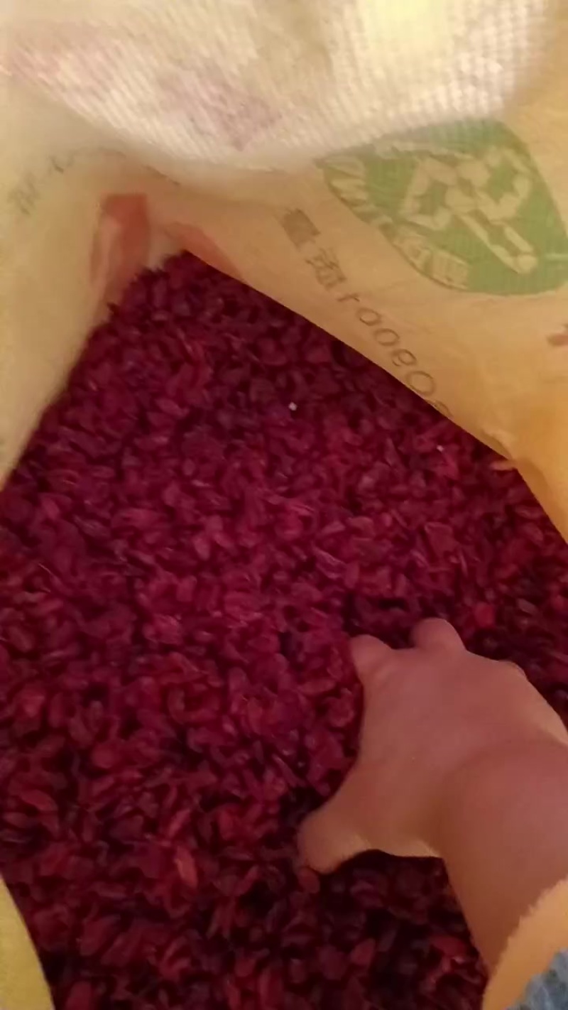 山茱萸