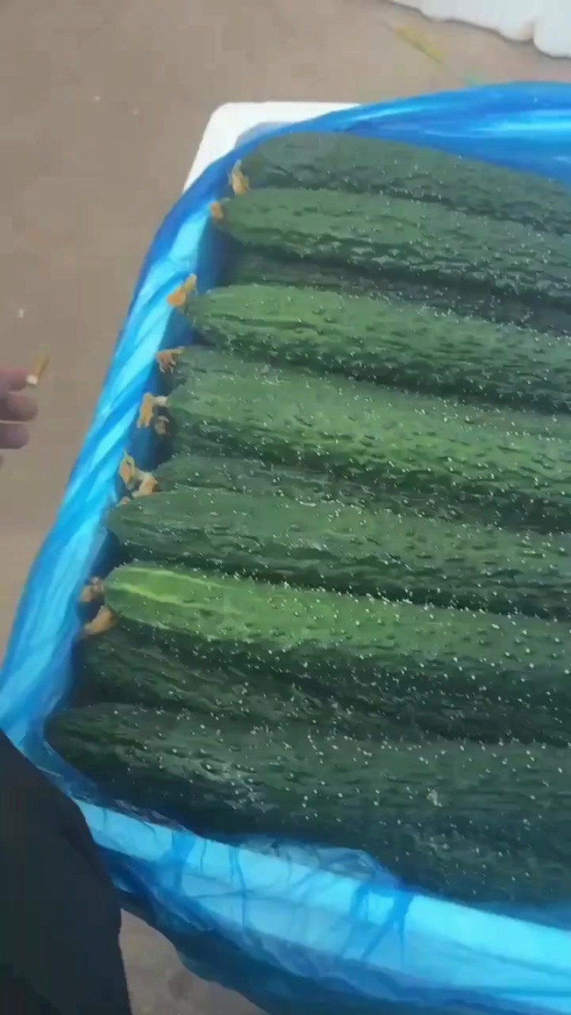 一级电商都有货