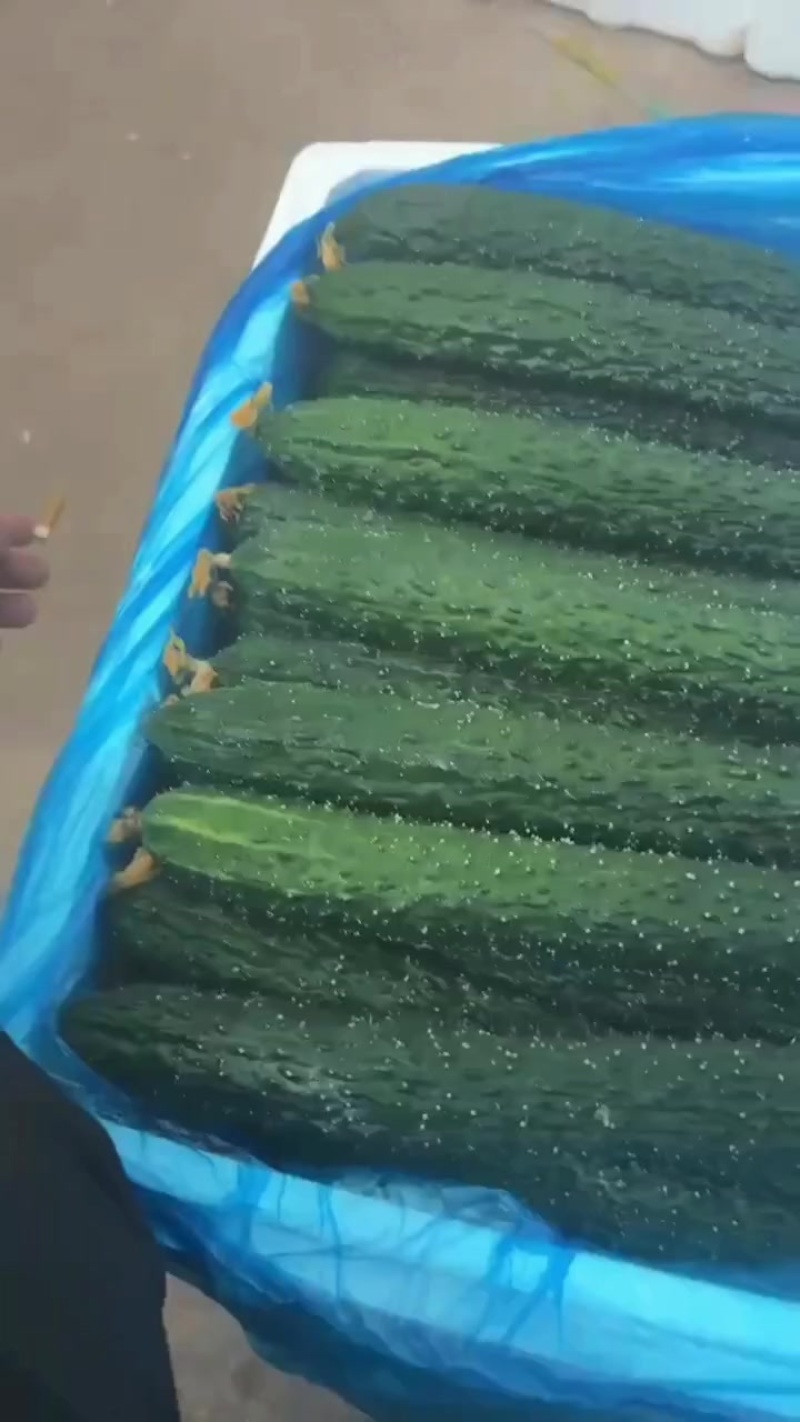 一级电商都有货