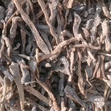 需要药厂肉苁蓉的联系一公斤32