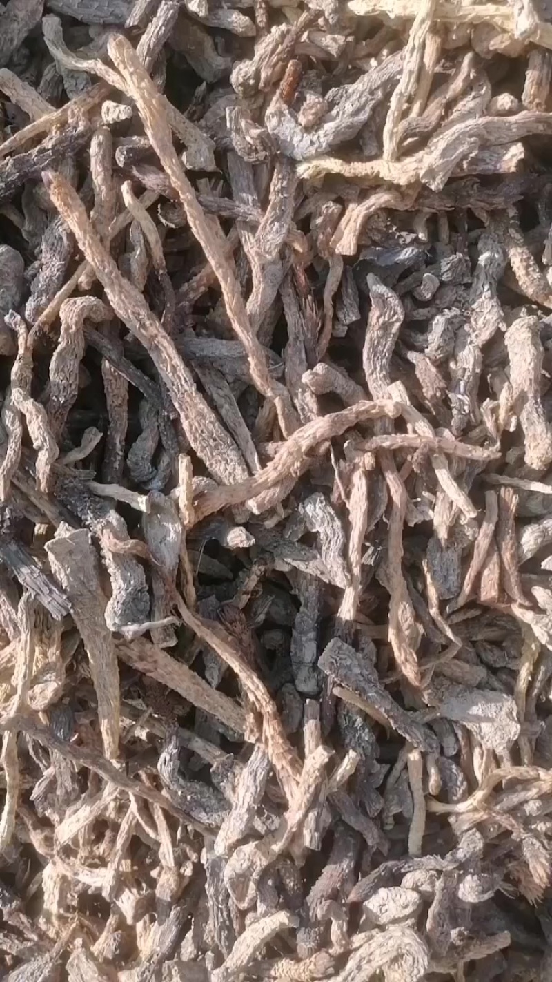 需要药厂肉苁蓉的联系一公斤32