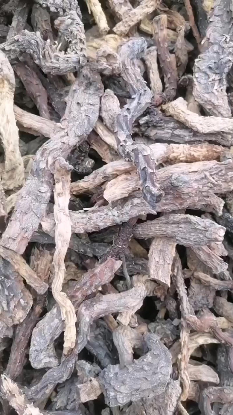 需要药厂肉苁蓉的联系一公斤32