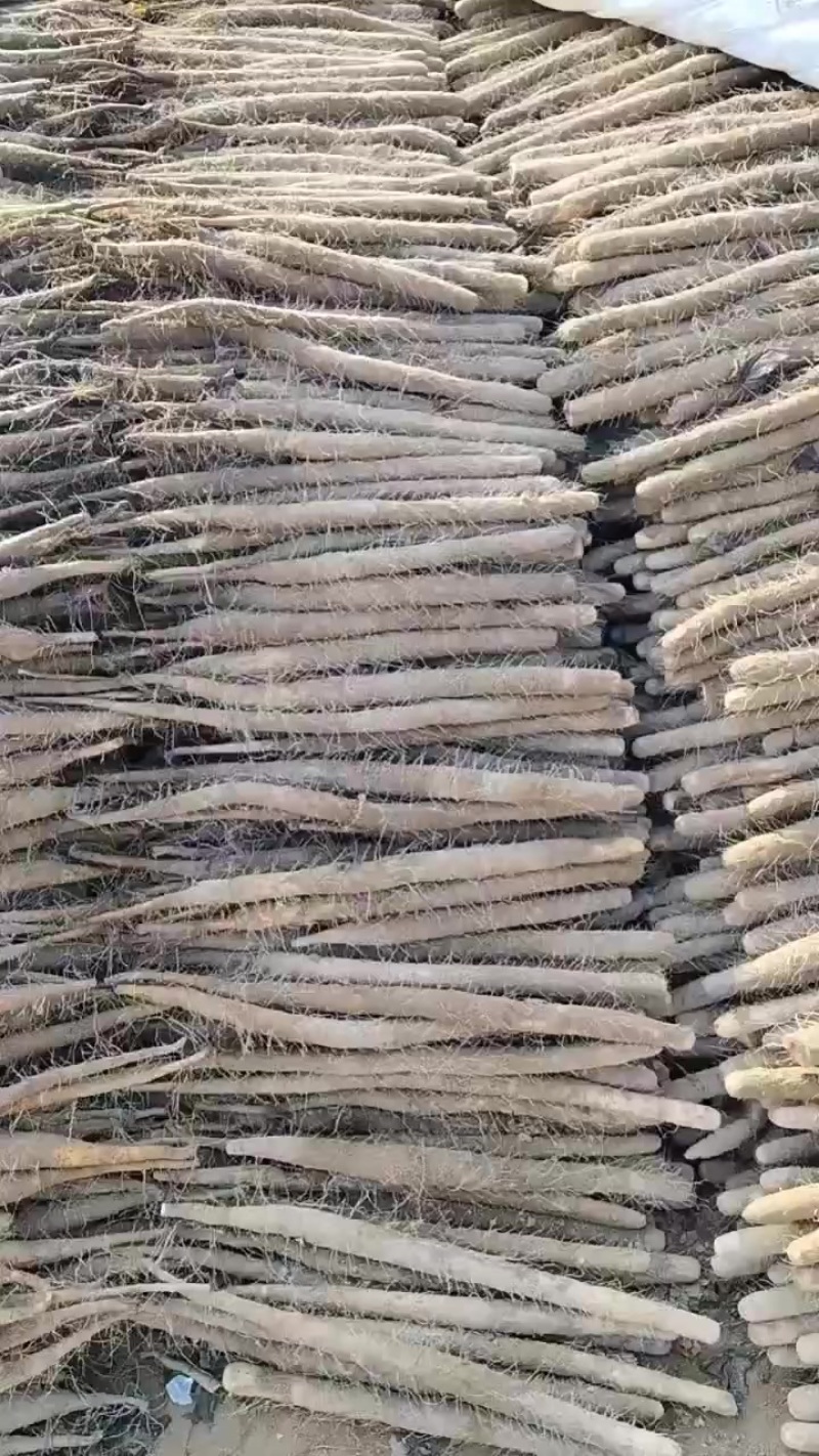 好二路