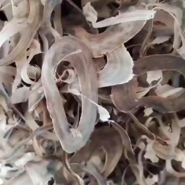 水牛角丝