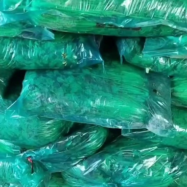露天精品香菜，高，矮。都有，质量很好！