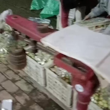 沾化冬枣