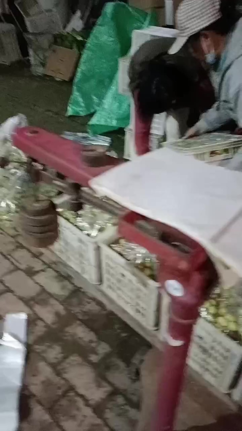沾化冬枣
