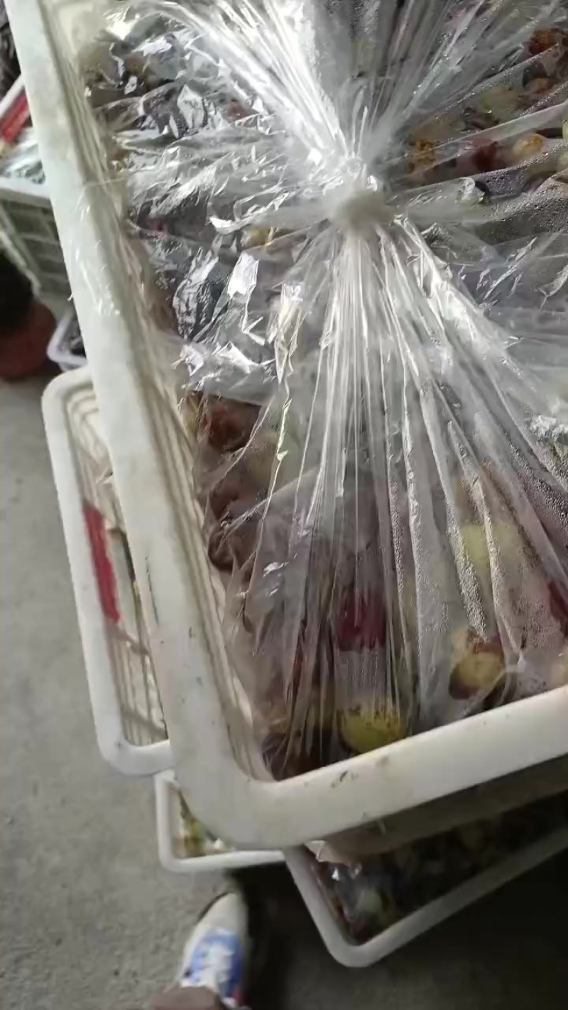 沾化冬枣