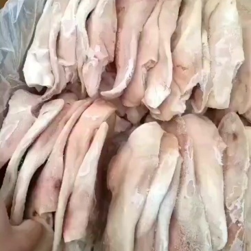 猪耳