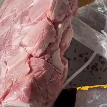 肥猪大块精碎瘦肉4-5吨