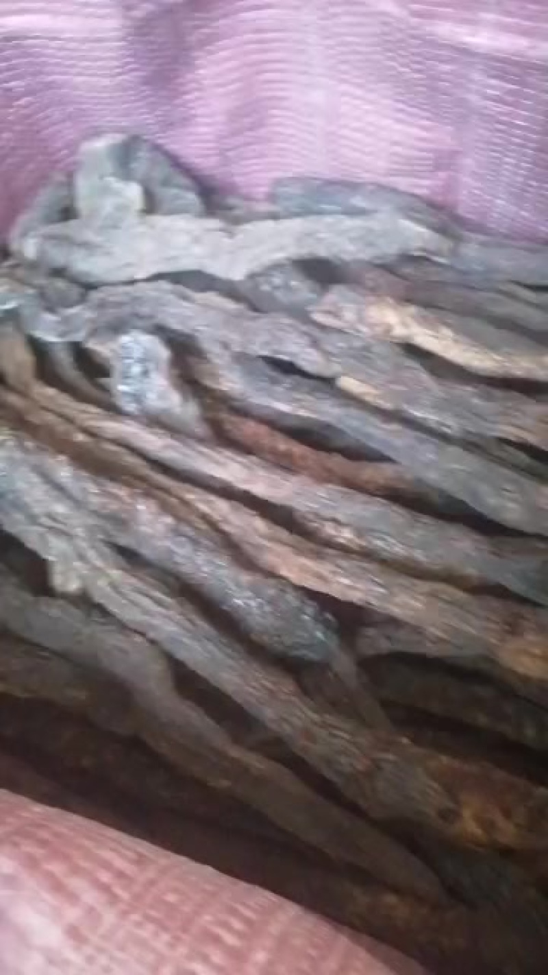 需要新疆肉苁蓉的联系我***********