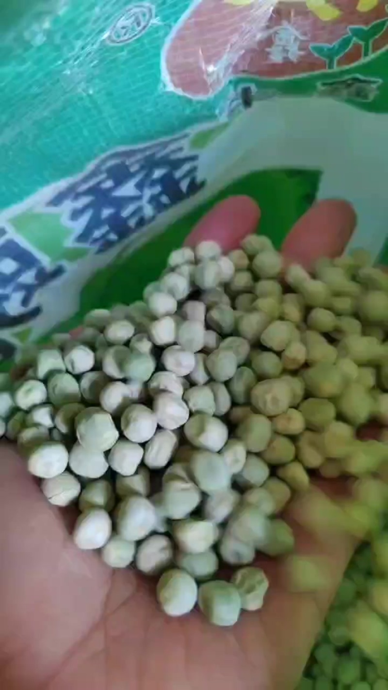 精品九号豌豆种子