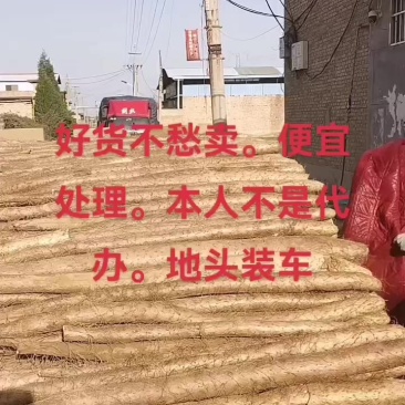 本人不是代办。自己种的白玉山药