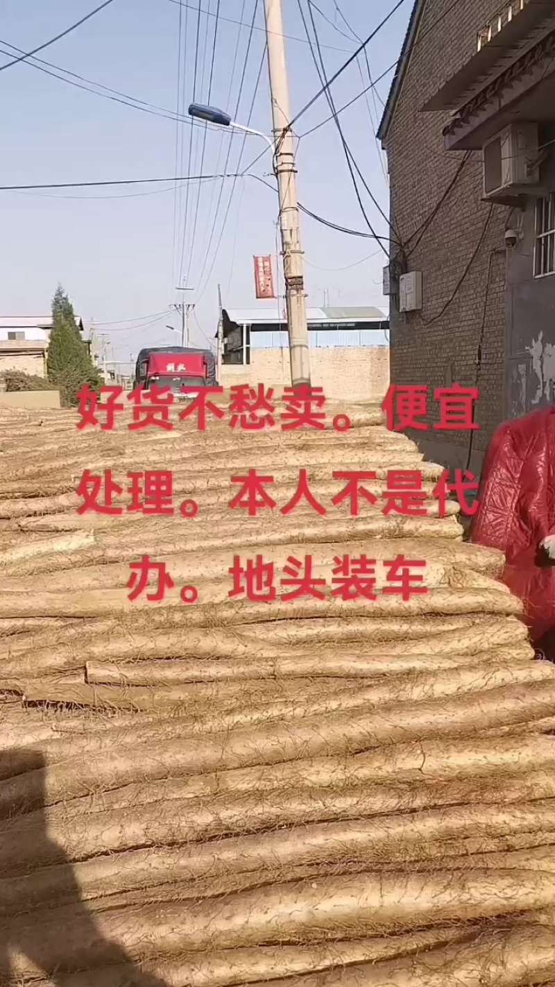 本人不是代办。自己种的白玉山药