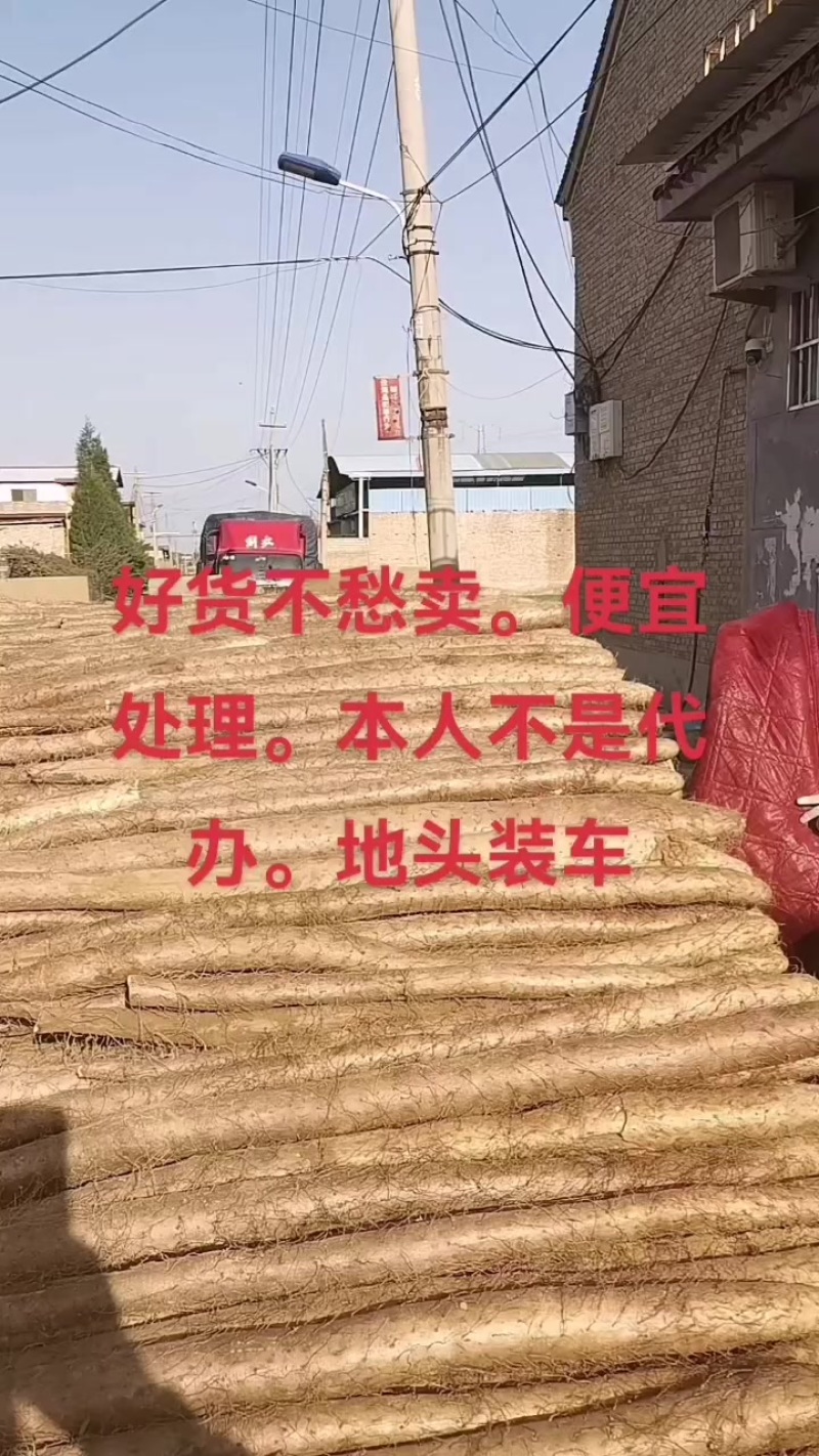 本人不是代办。自己种的白玉山药