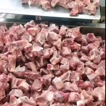 排骨粒