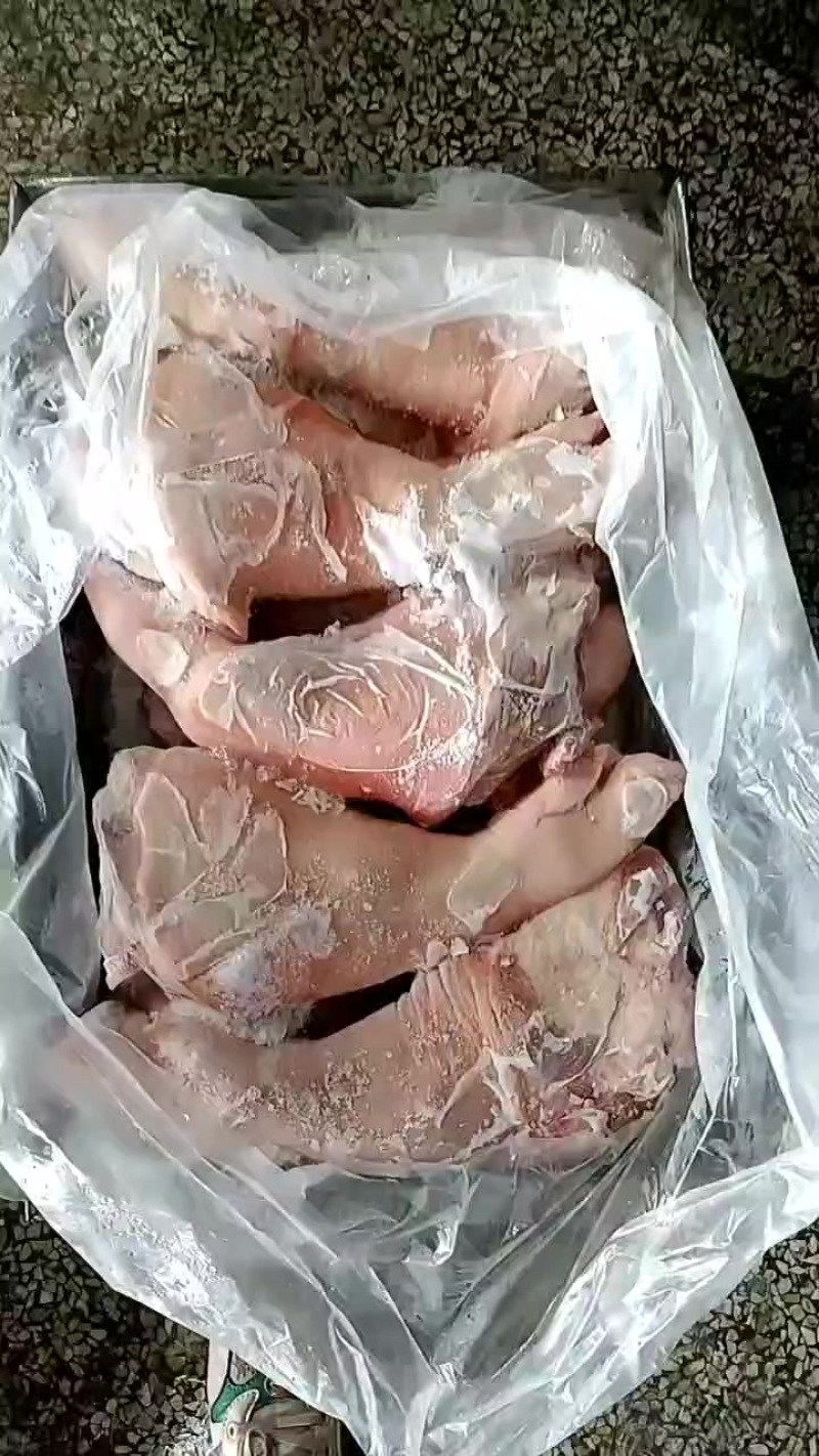 前手铮