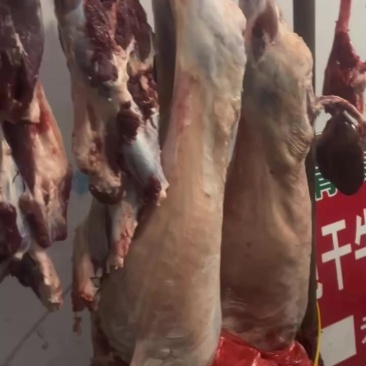 清真正宗生鲜纯干牛肉