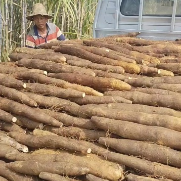 柳州黑鬼山药