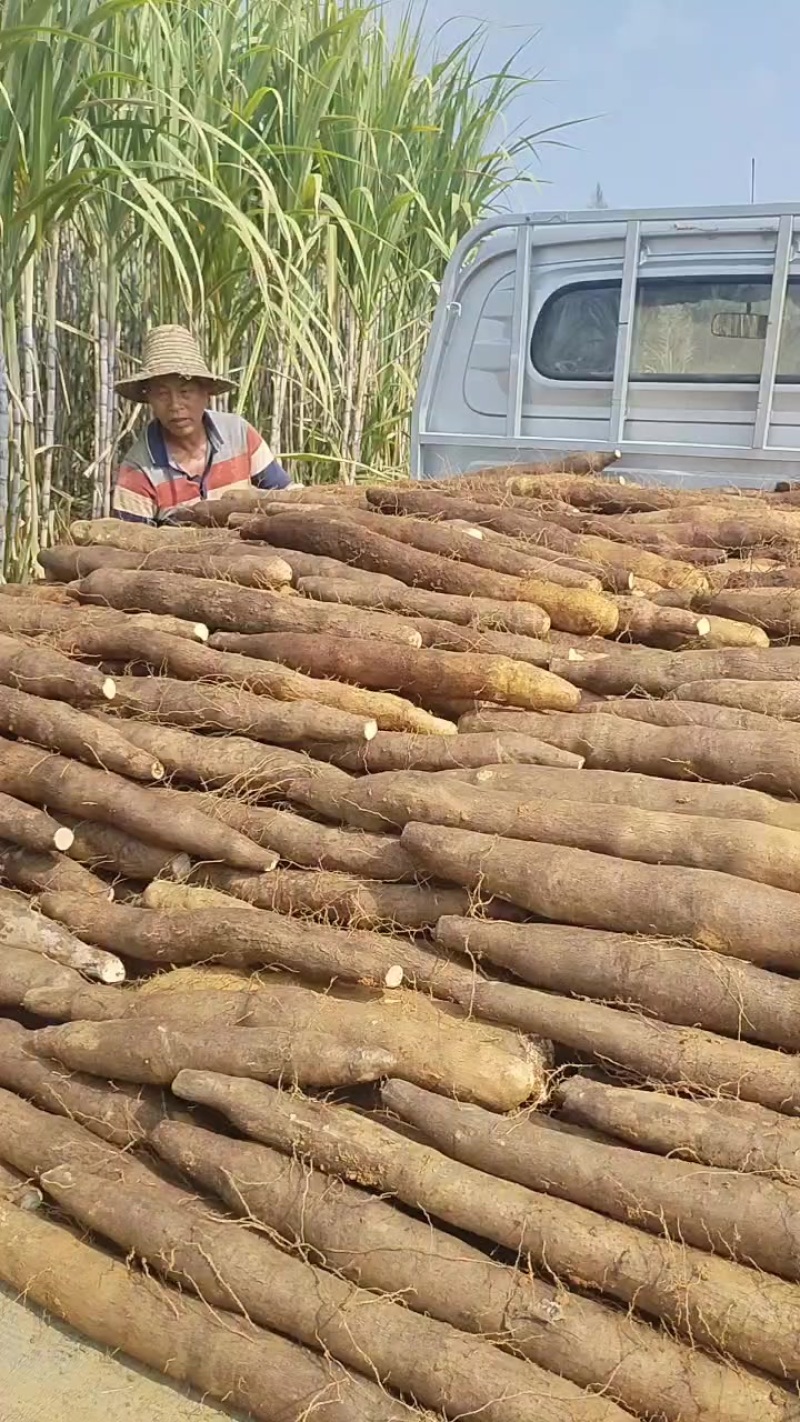 柳州黑鬼山药