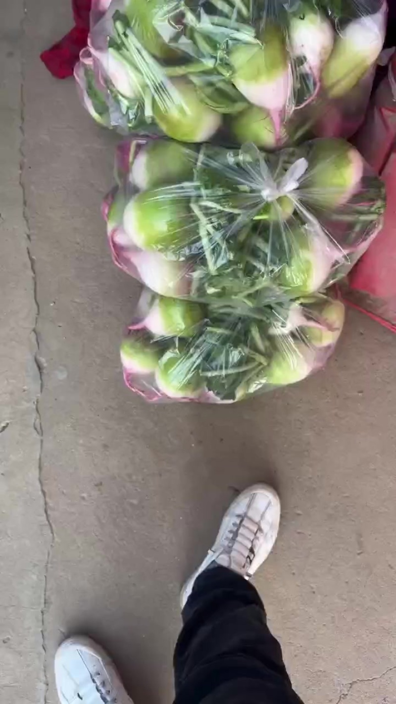 水果萝卜心里美红皮大量上市需要老板可以联系