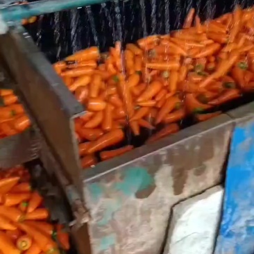大量供应