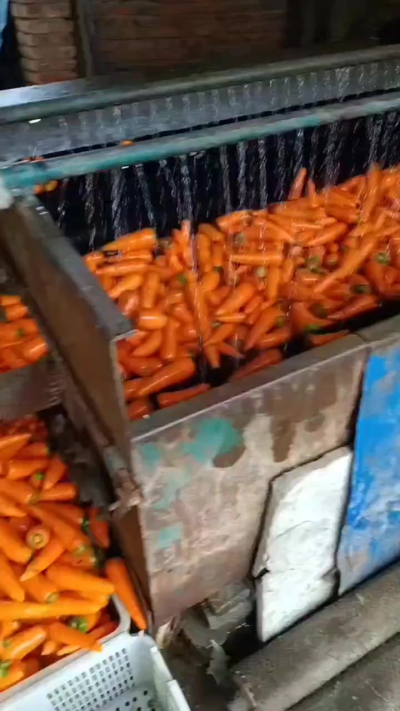 大量供应