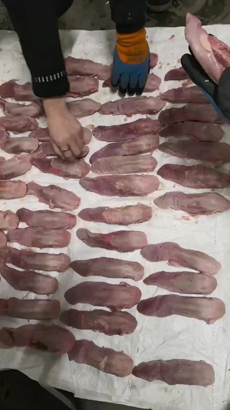 44-50根左右精口条