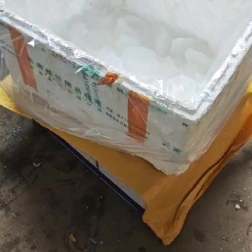 小黄鱼，冰鲜打包，每天发货
