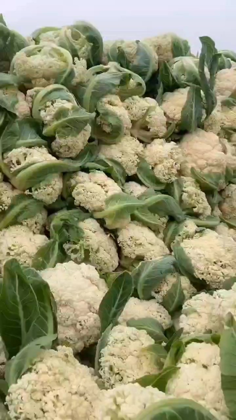 散花