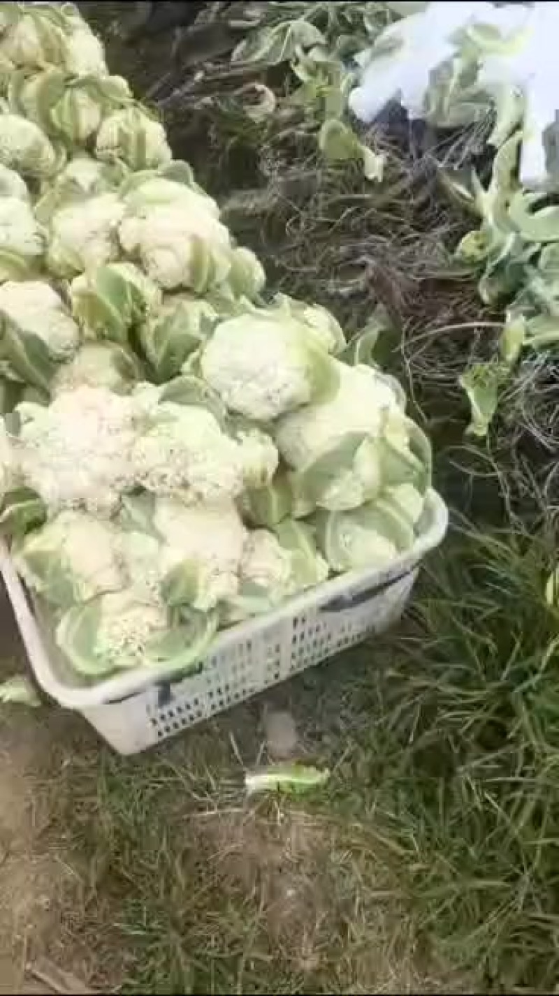 散花