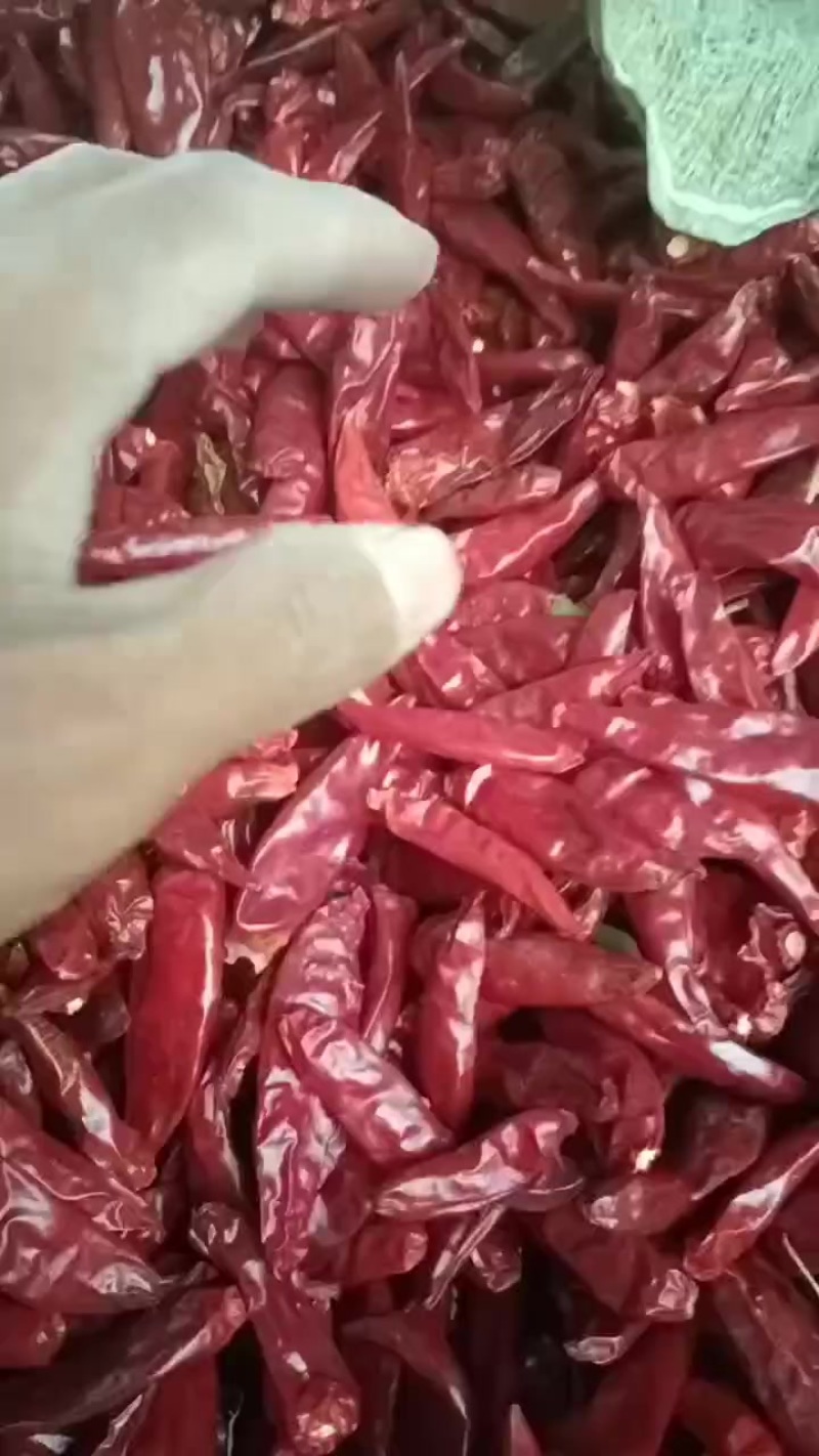精品三樱椒