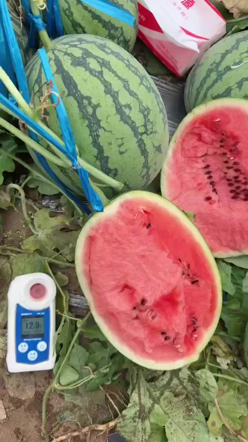 翠玲西瓜