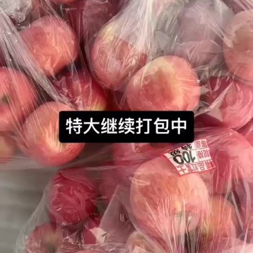 冷库货，陕西延安宜川苹果