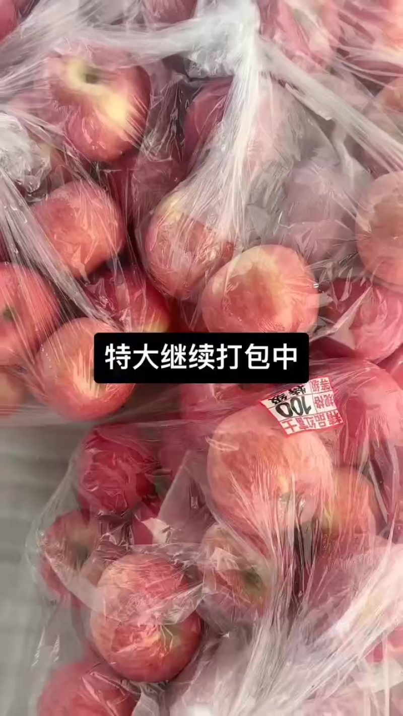 冷库货，陕西延安宜川苹果