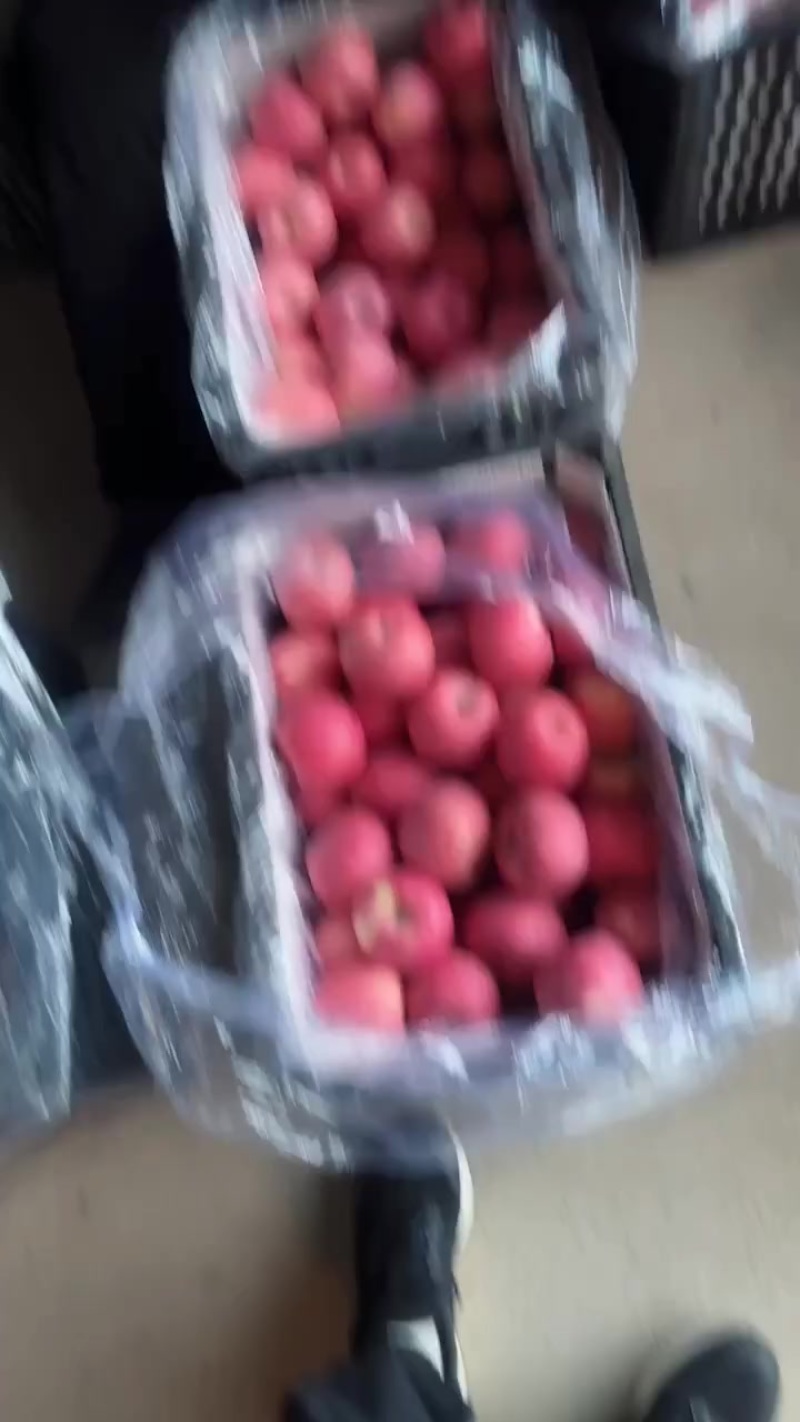 冷库货，陕西延安宜川苹果