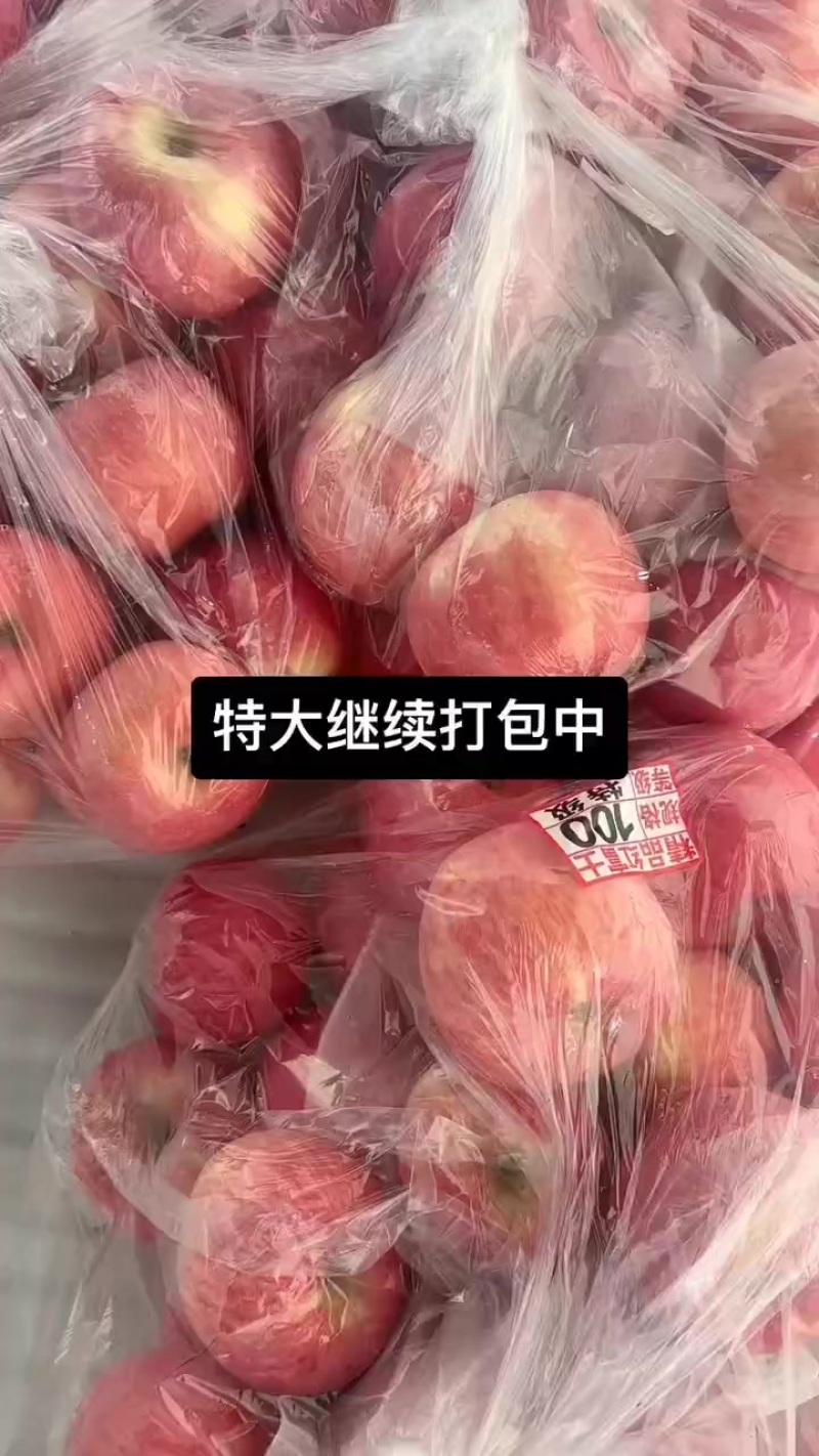 冷库货，陕西延安宜川苹果