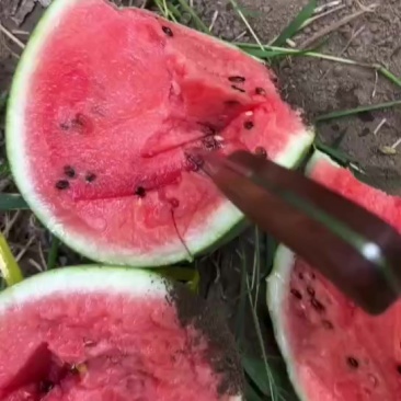 翠玲西瓜