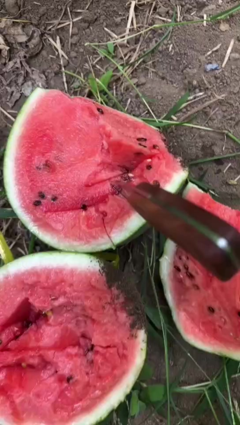 翠玲西瓜