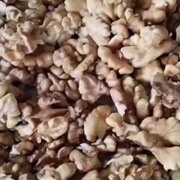 核桃