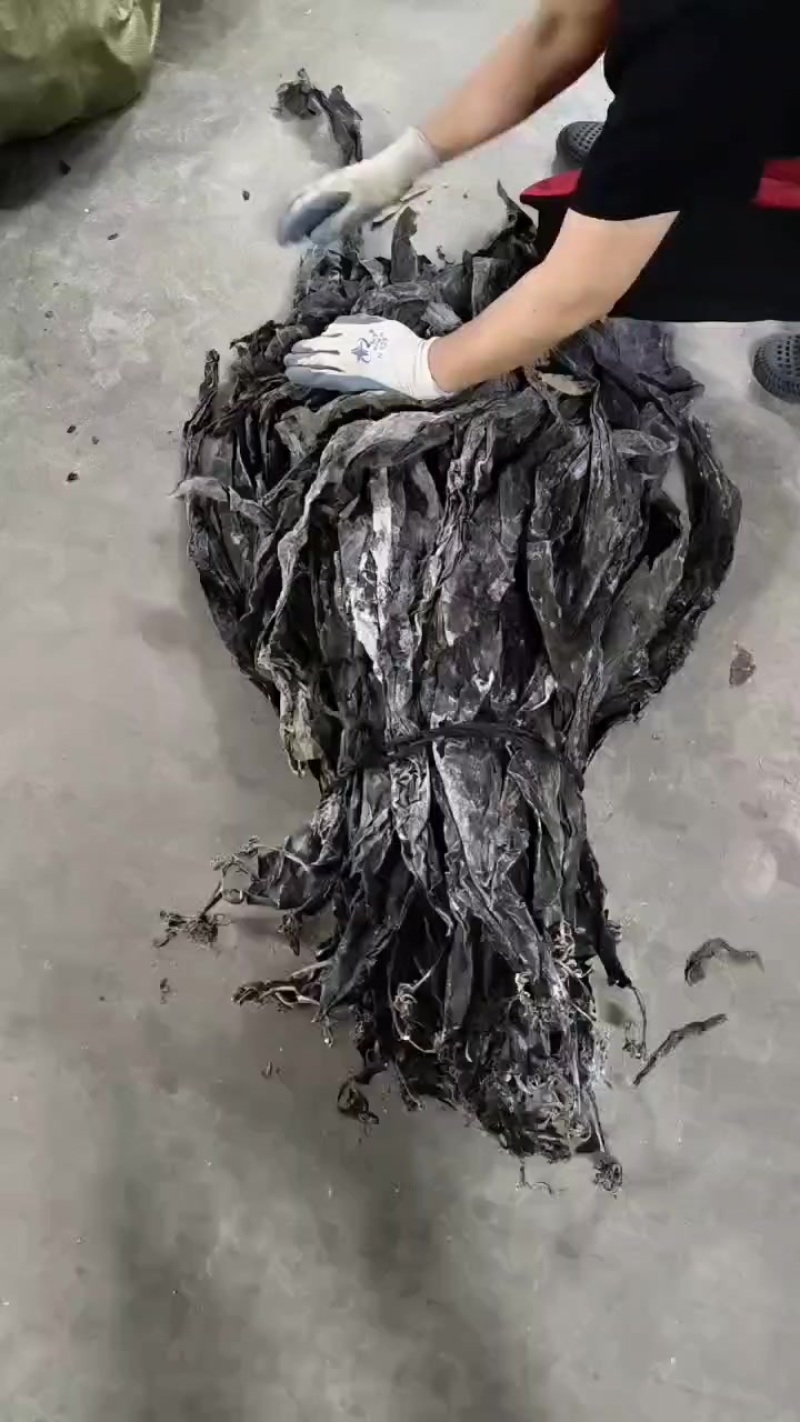 地摊干海带