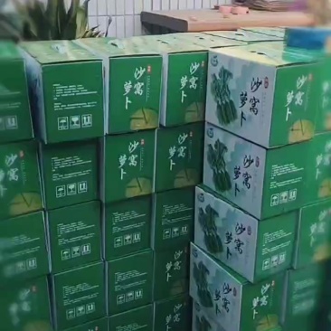 天津沙窝萝卜一件代发，寻求合作伙伴代销代卖，快递一箱包邮