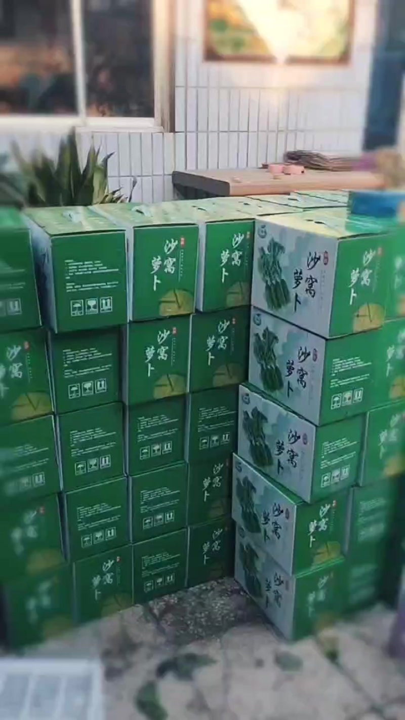 天津沙窝萝卜一件代发，寻求合作伙伴代销代卖，快递一箱包邮