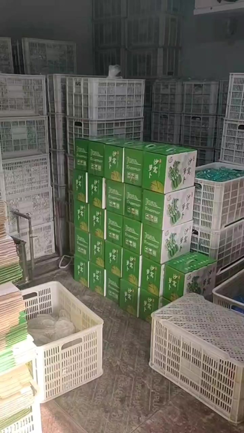 天津沙窝萝卜一件代发，寻求合作伙伴代销代卖，快递一箱包邮