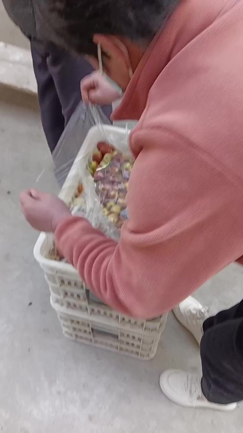 沾化冬枣