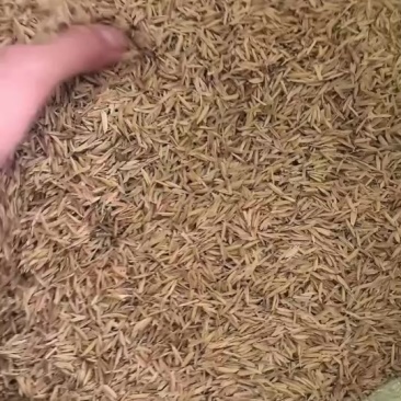 谷壳