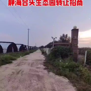 天津市静海区台头镇生态园88亩设施齐全，有8个大棚鱼池